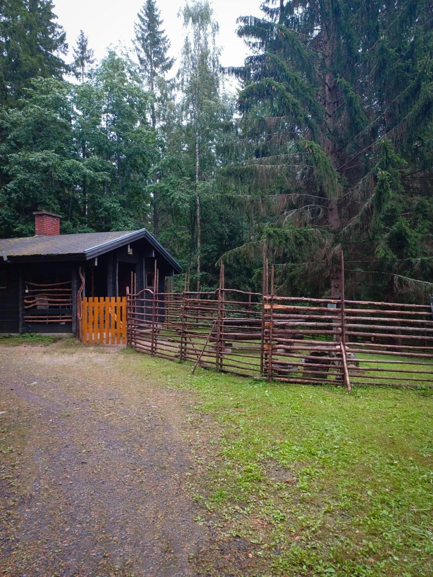 Accommodation And Fishing Vonkale Aanekoski Luaran gambar
